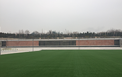 ����ʿ����