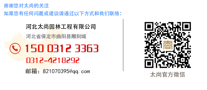 z6com������ʱ(�й���)�ٷ���վ