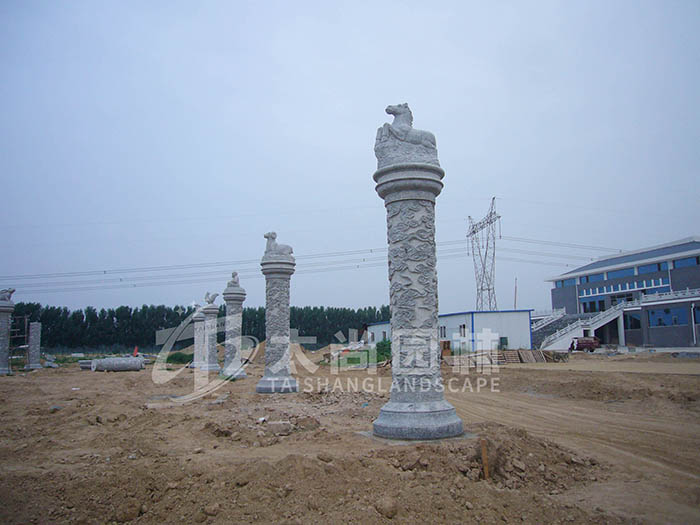 z6com������ʱ(�й���)�ٷ���վ