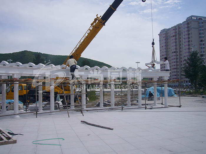 z6com������ʱ(�й���)�ٷ���վ