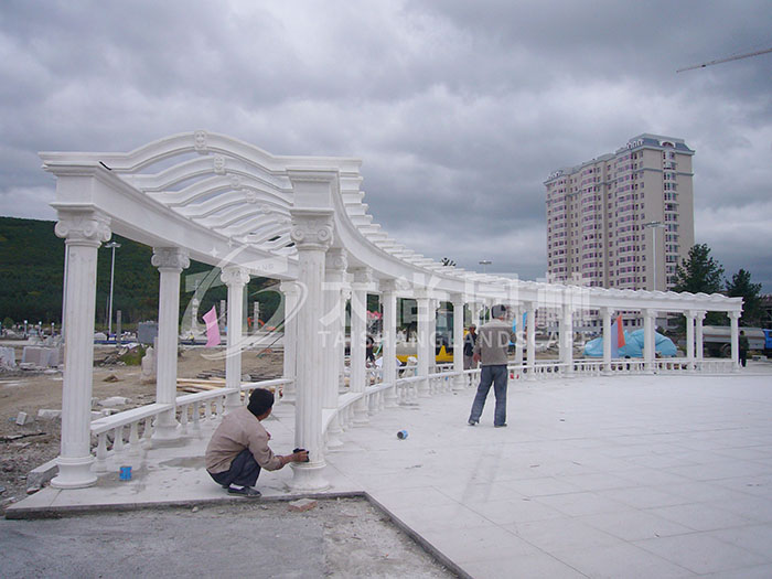 z6com������ʱ(�й���)�ٷ���վ