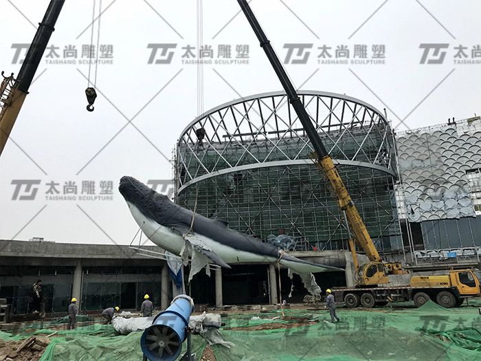 z6com������ʱ(�й���)�ٷ���վ