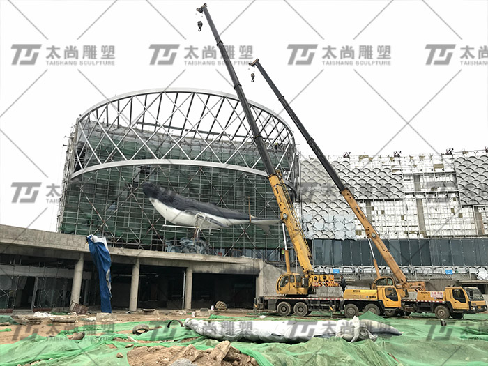 z6com������ʱ(�й���)�ٷ���վ