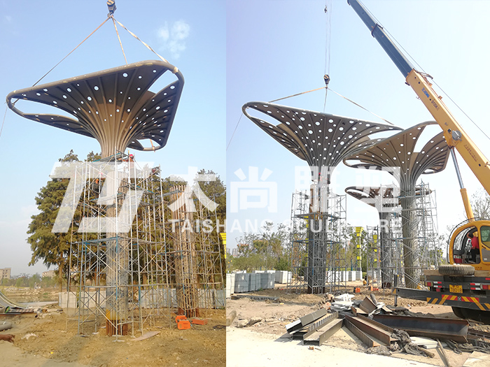 z6com������ʱ(�й���)�ٷ���վ