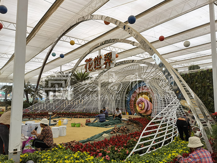 z6com������ʱ(�й���)�ٷ���վ