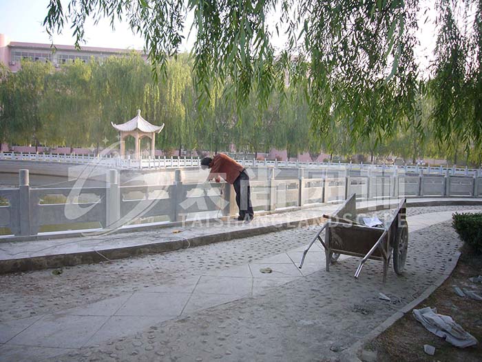 z6com������ʱ(�й���)�ٷ���վ