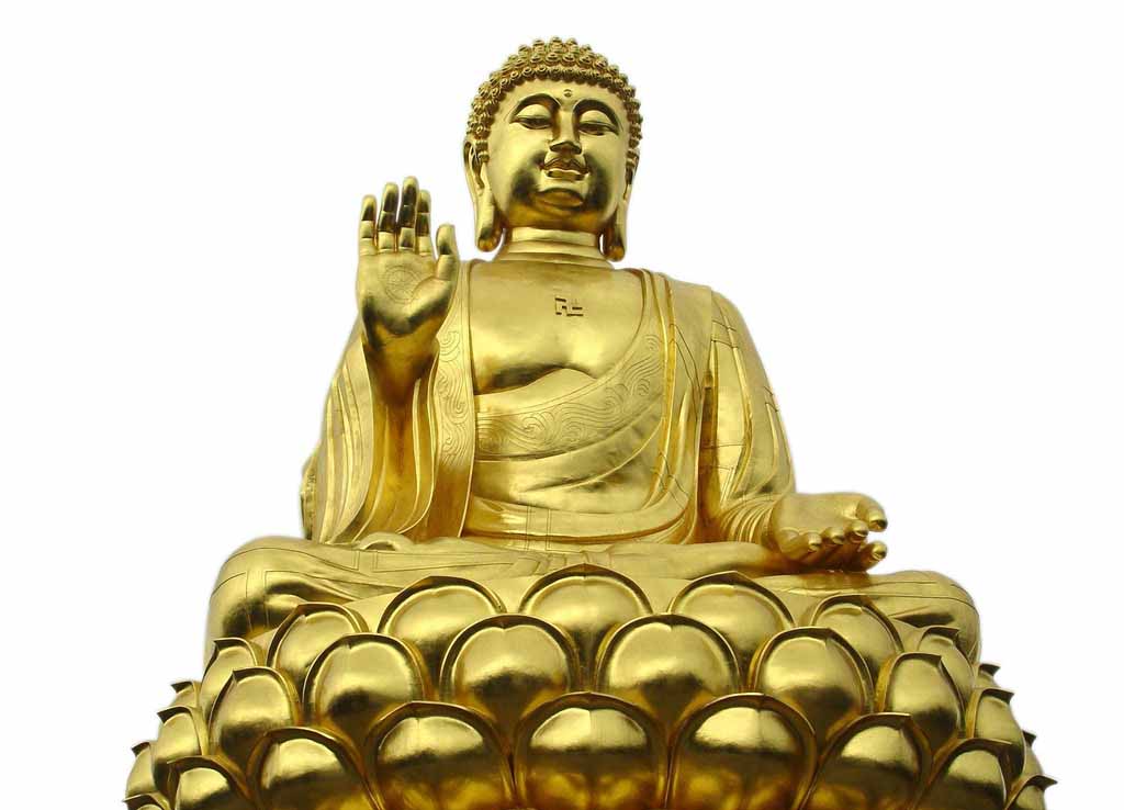 z6com������ʱ(�й���)�ٷ���վ