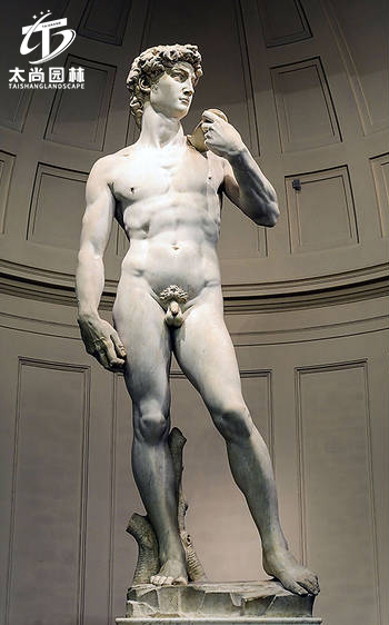 z6com������ʱ(�й���)�ٷ���վ