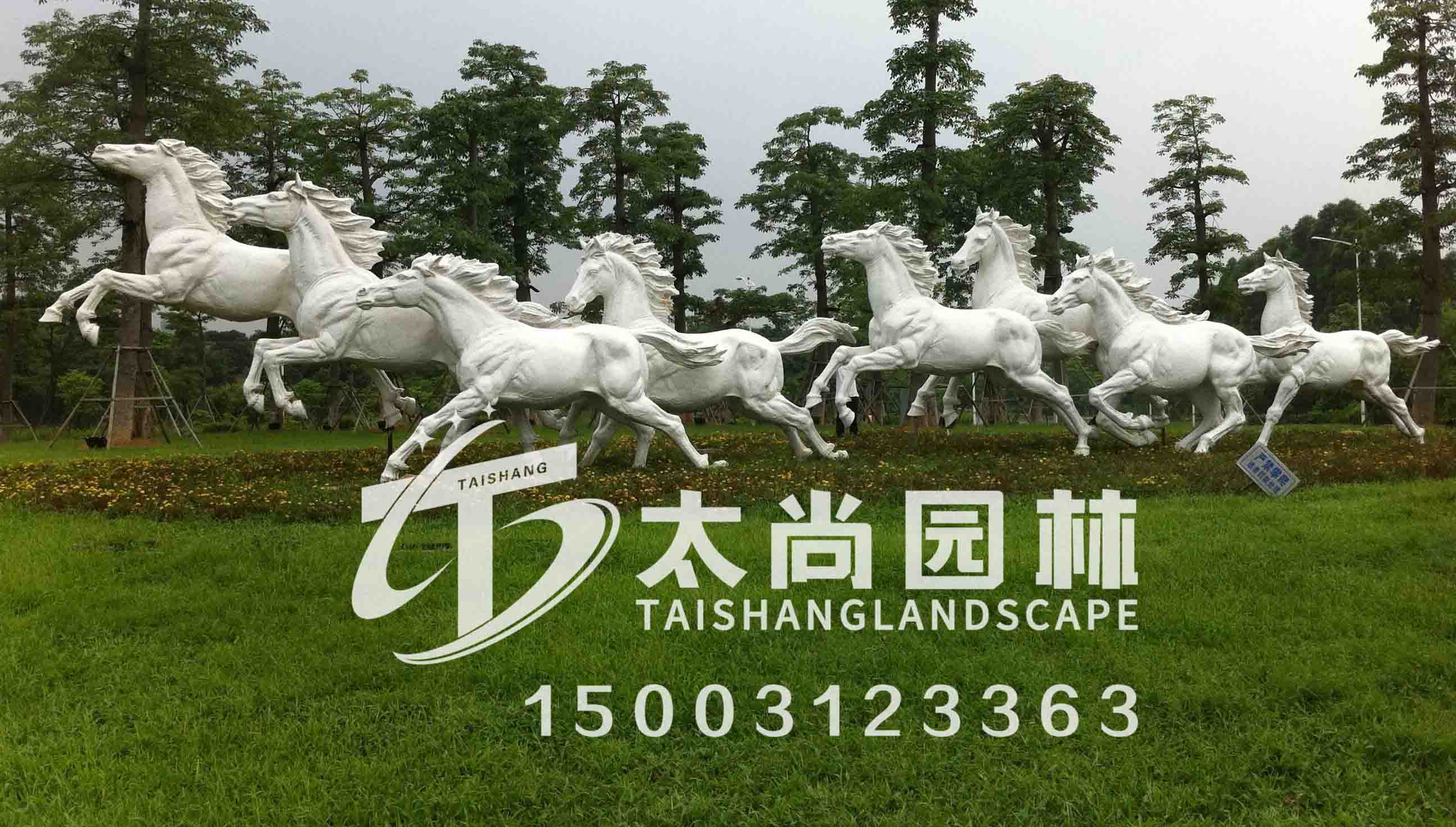 �����ֵ�����