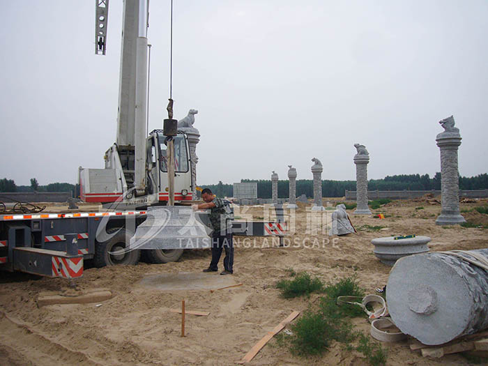 z6com������ʱ����