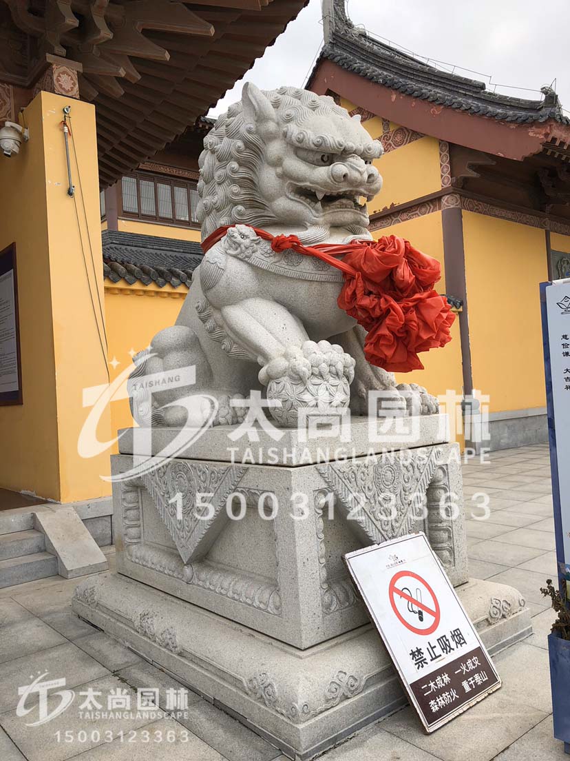 z6com������ʱ԰��