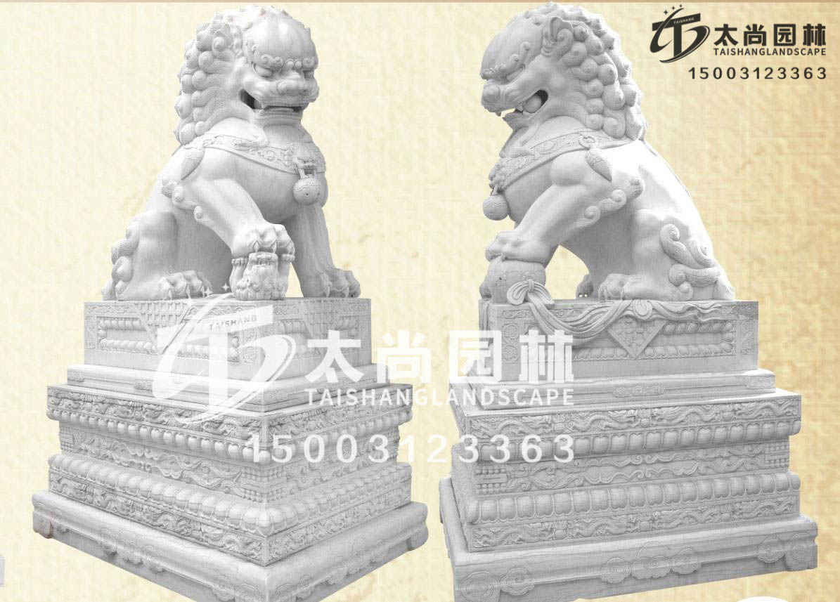 z6com������ʱ