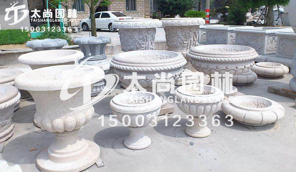 z6com������ʱ(�й���)�ٷ���վ