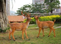 ������ܳ���-������ܼ�Ǯ-������������