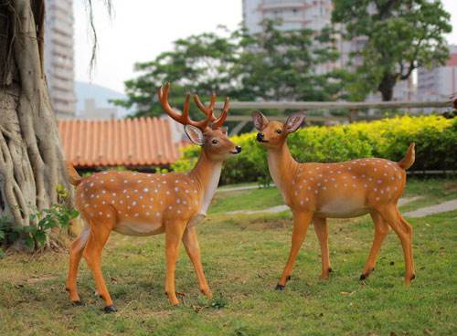 z6com������ʱ(�й���)�ٷ���վ