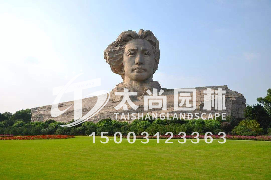 z6com������ʱ(�й���)�ٷ���վ