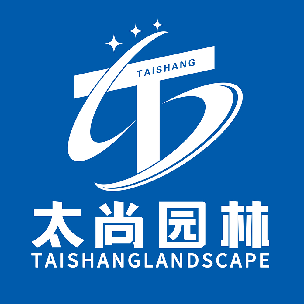 �ӱ������ص��ܳ���-�����������Ч��-z6com������ʱ